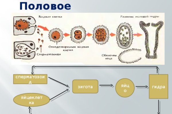 Обменники на меге перевод на альфа банк