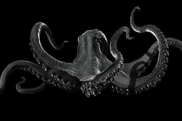 Зеркало крамп kraken